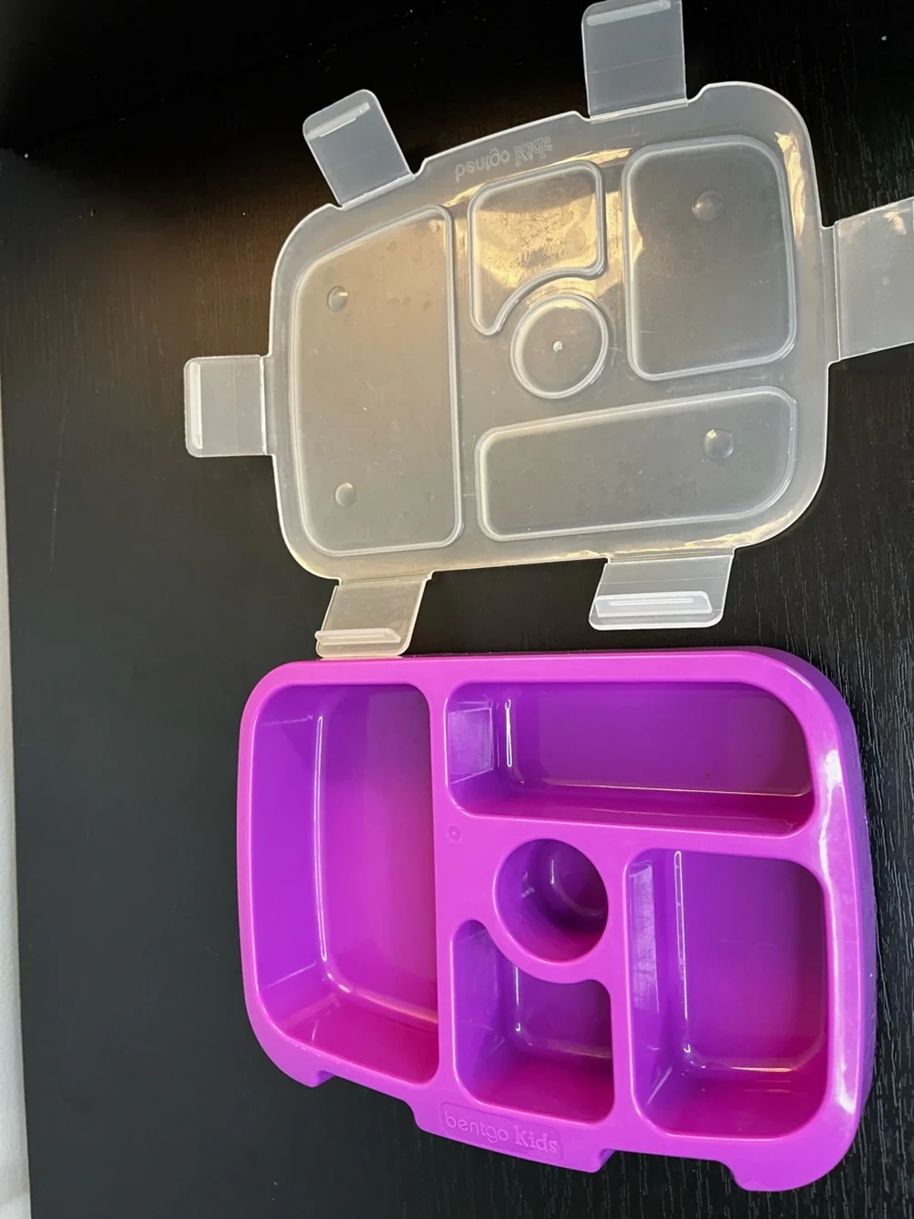 2-Pack Bento Lunch Boxes - Blue & Pink Bento Boxes